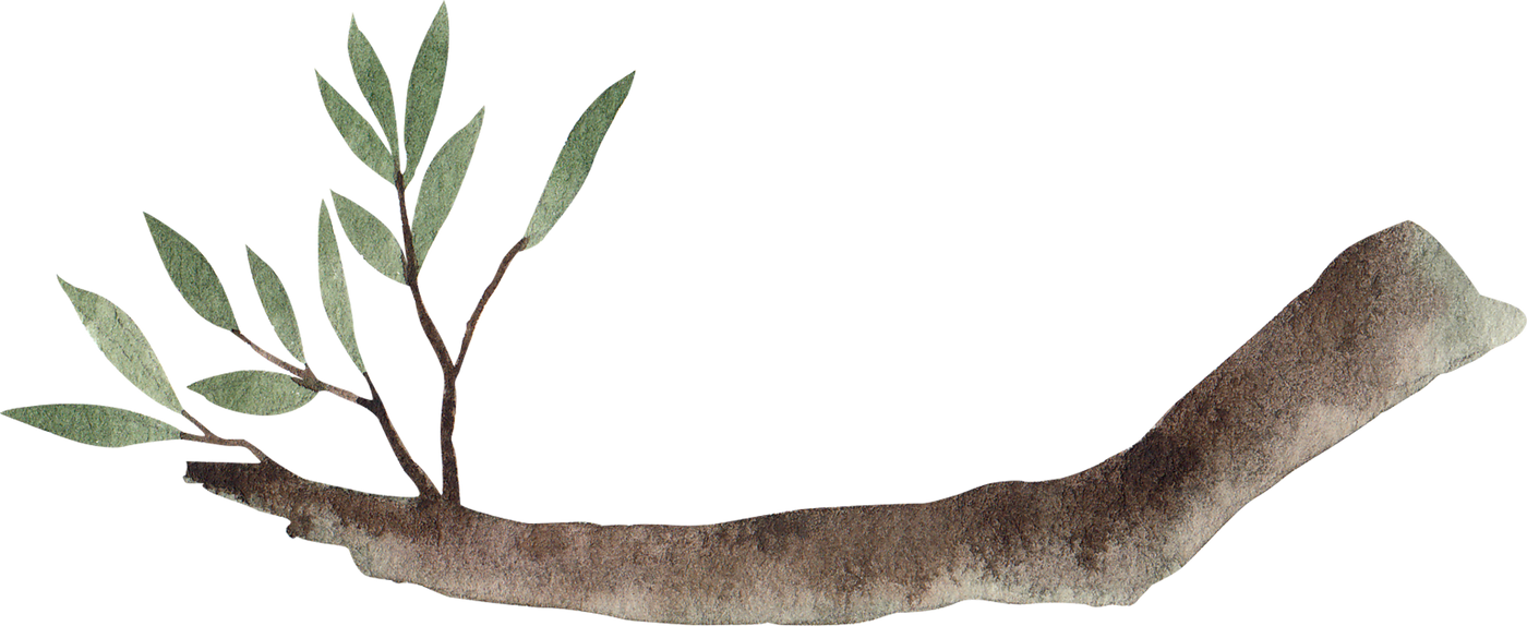 Green Leaf and Tree Branch Watercolor Clipart